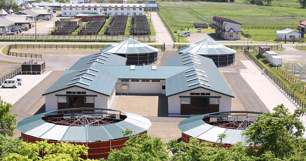 採用情報｜有限会社三嶋牧場